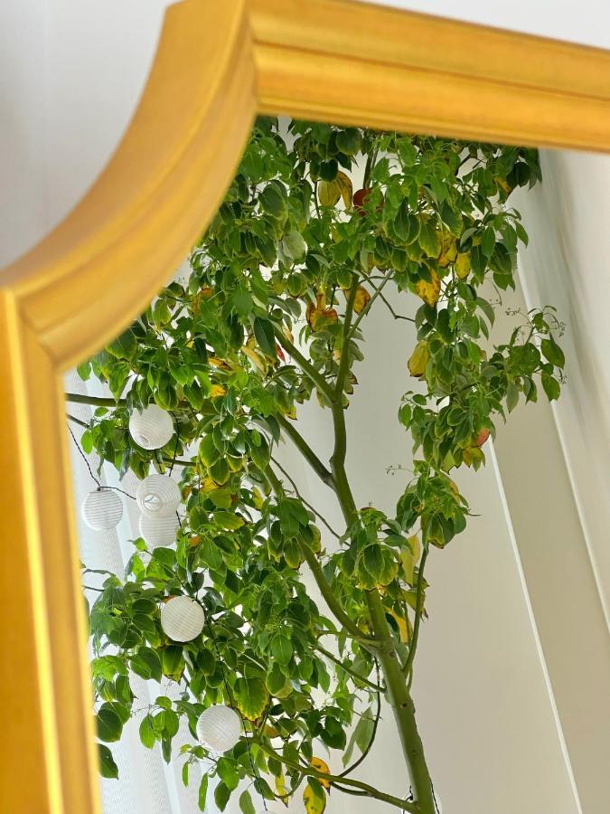 #Lemon Tree By Halu! Apartments 塞萨洛尼基 外观 照片